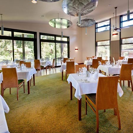 Legacy Te Waonui Hotel Franz Josef Kültér fotó